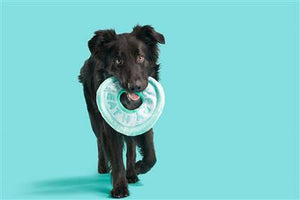 Frisbee - Puppy Breath