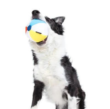 Load image into Gallery viewer, Rip n Reveal Chew Toy - Spike the Beachball
