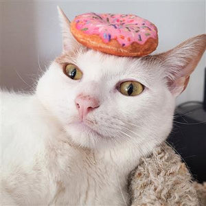 Catnip Crinkle Toy - Donut