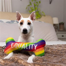 Load image into Gallery viewer, Plush Toy - Equality Bone
