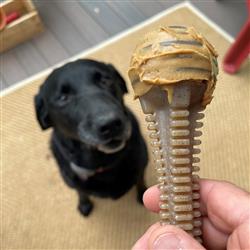 Chew Toy - Dental Tower Bone