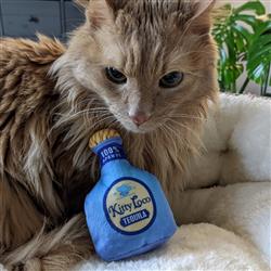 Catnip Crinkle Toy - Kitty Loco Tequila