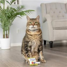 Load image into Gallery viewer, Catnip Crinkle Toy - Kity Pop
