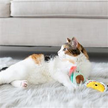 Load image into Gallery viewer, Catnip Crinkle Toy - Taco Time Set
