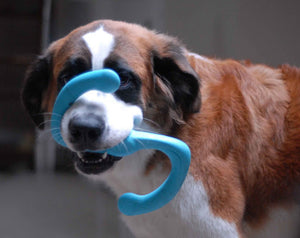 Tug Toy - Bumi (Variety of Sizes Available)