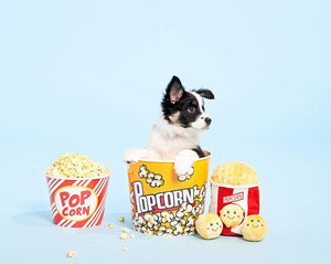 Burrow Toy - Popcorn Bucket
