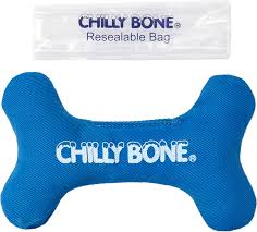 Teething Toy - Chilly Bone
