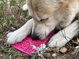 Soothing Toy - Lick Mats (Variety of Shapes Available)