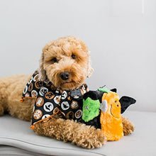 Load image into Gallery viewer, Plush Toy - No Stuffing: Halloween Buddies
