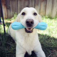 Load image into Gallery viewer, Chew Toy - Hurley (Variety of Sizes Available)
