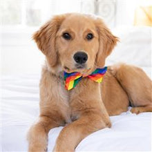 Load image into Gallery viewer, Bow Tie - Pride
