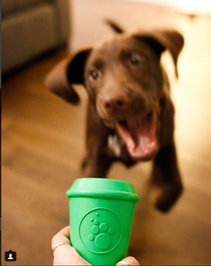 Chew Toy - Coffee Cup